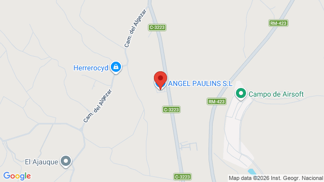 Angel Paulins